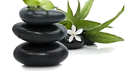 Timeline: TERAPIAS NATURALES