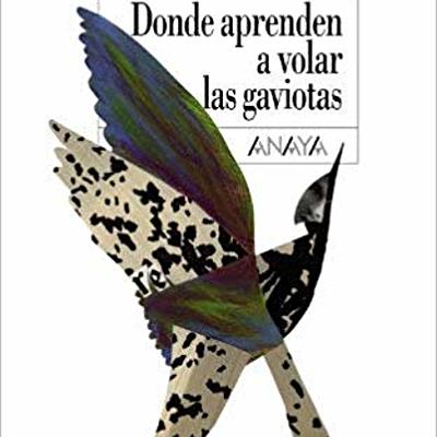 Timeline: Donde aprenden a volar las gaviotas - Linea del Tiempo