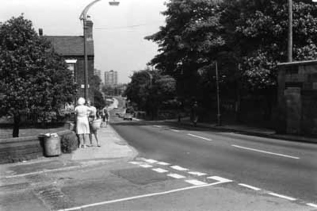 Building started on the Bluebell estate – completed by 1966