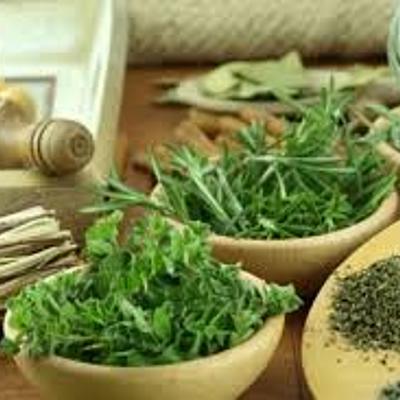 Timeline: Linea del Tiempo Terapias Naturales