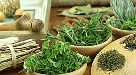 Timeline: Linea del Tiempo Terapias Naturales