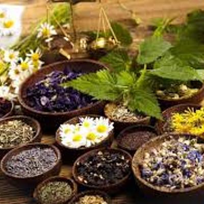 Timeline: TERAPIAS NATURALES