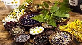 Timeline: TERAPIAS NATURALES