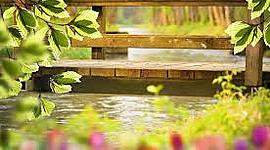 Timeline: HISTORIA DE LAS TERAPIAS NATURALES