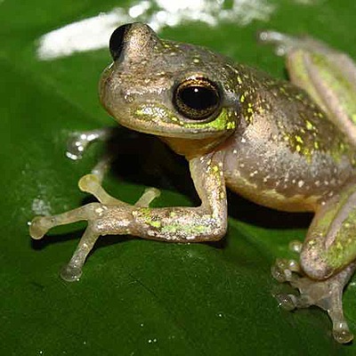 Timeline: Philosophie