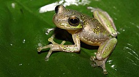 Timeline: Philosophie