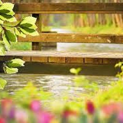 Timeline: Linea de tiempo terapias naturales