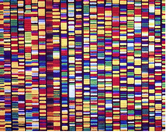 Secuencias Genoma Humano