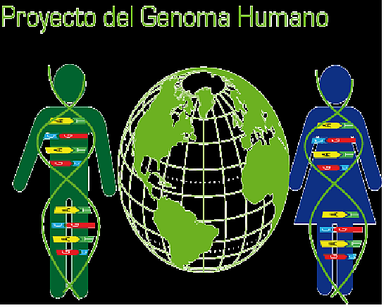 Proyecto Genoma Humano