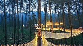 Timeline: La Historia De La Computadora y Su Evolución