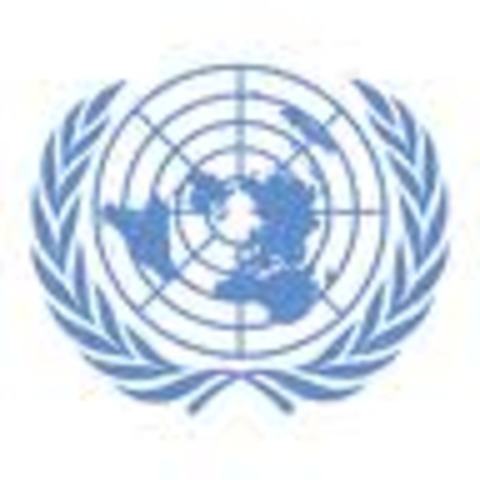 United Nations Formation