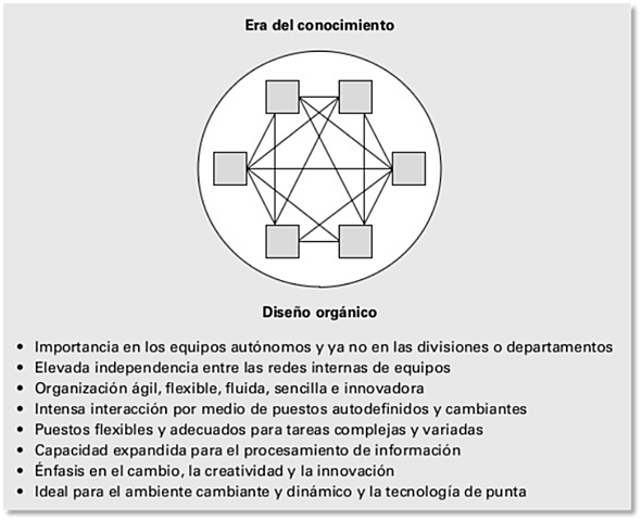 Estructura organizacional predominante