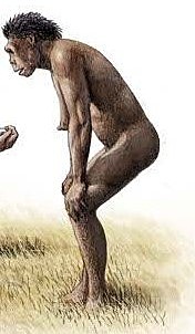 Aparece el ser humano