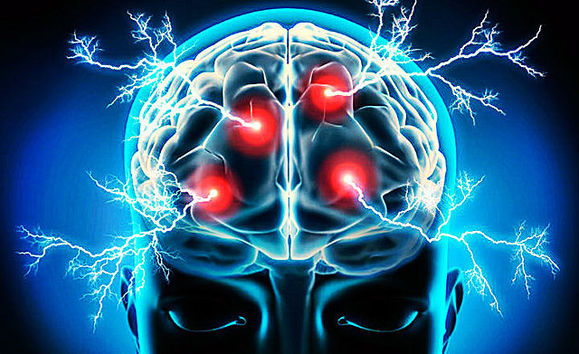 Perspectiva de la Neurociencia