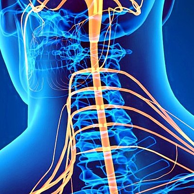 Timeline: Síndrome de Brown-Sequard