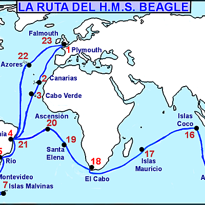 Timeline: Evolución Cronológica de la Tierra