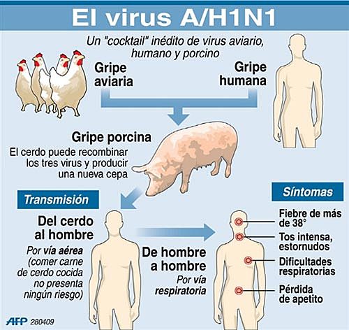 Pandemia de gripe (H1N1) de 2009