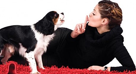 Psicología animal o comparada británica