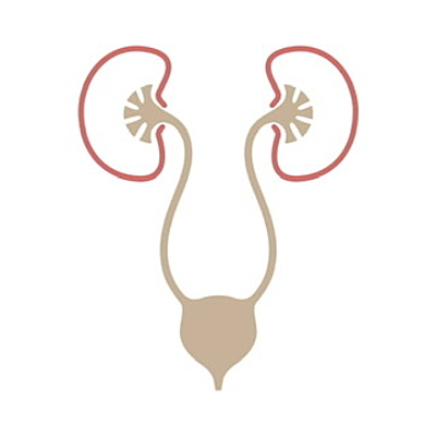 Timeline: Historia de la urología