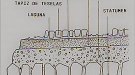 Timeline: Mosaic timeline