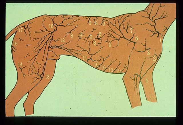 Royal Society of London