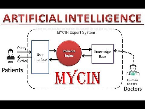 Mycin Expert System (1974)