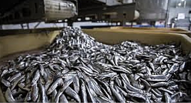 Tratado de libre comercio con la República de Panamá