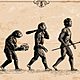 Evolucion del ser humano 1021x580