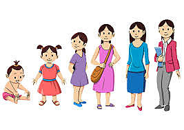 Etapas del desarrollo humano