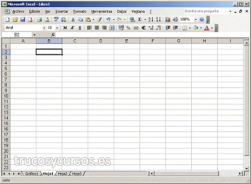 Excel 11.0