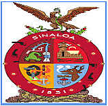 Se abren nuevos kindergarten