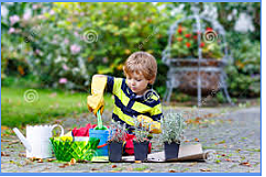 Reorganización del trabajo infantil