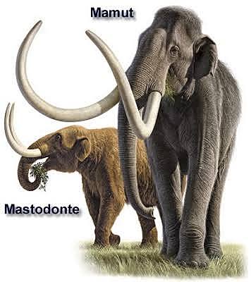 10 mil años, clima y vegetación