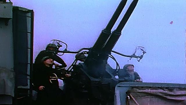 D-Day                     https://www.history.com/topics/world-war-ii/d-day