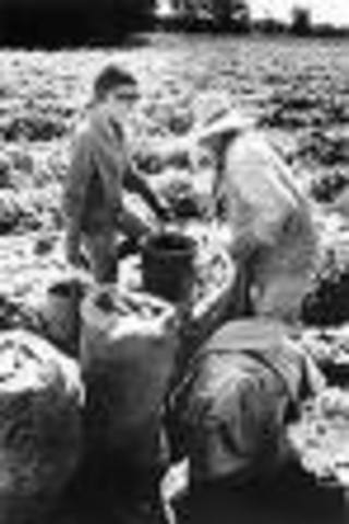 First Hispanic farmers arrive in San Luis Valley