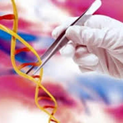 Timeline: Momentos más destacados en biología molecular. María F. Valdés y Dimitri Orrego.