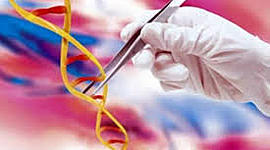 Timeline: Momentos más destacados en biología molecular. María F. Valdés y Dimitri Orrego.