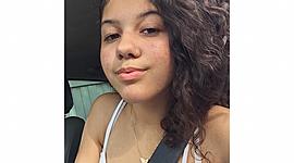Timeline: vivi nicolosi