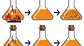 Timeline: GENERACIÓN ESPONTANEA