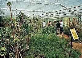 La ecología botánica