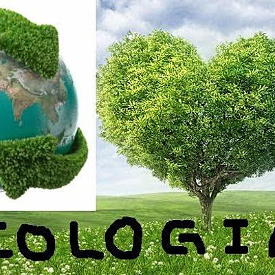 Timeline: Antecedentes de la ecología
