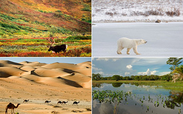 Clements y el concepto de biomas