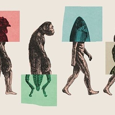 Timeline: Evolución de la dimensión del tiempo respecto a la edad de la Tierra