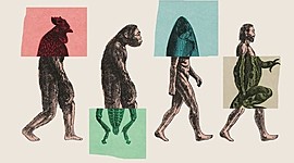 Timeline: Evolución de la dimensión del tiempo respecto a la edad de la Tierra