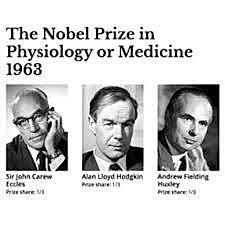 John Carew Eccles,  Alan Lloyd Hodgkin  y Andrew Fielding Huxley.