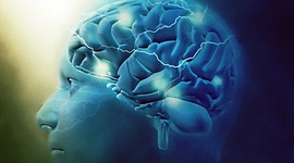 Timeline: Historia de las neurociencias