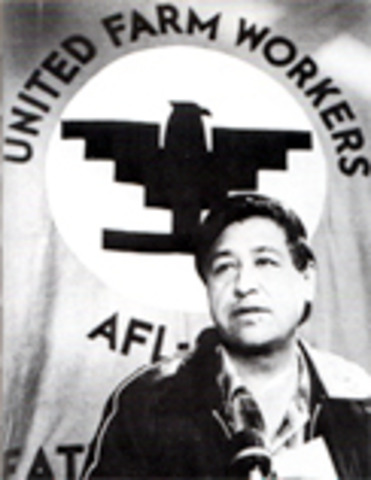 United Farm Workers