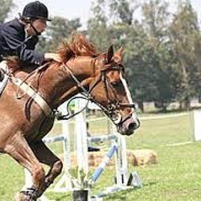 Timeline: La historia de la equitacion