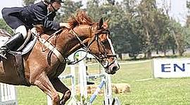 Timeline: La historia de la equitacion