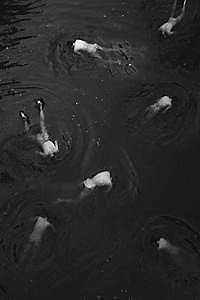 Plague reaches Volga River basin and spreads to Eastern and Central Europe and Constantinople.